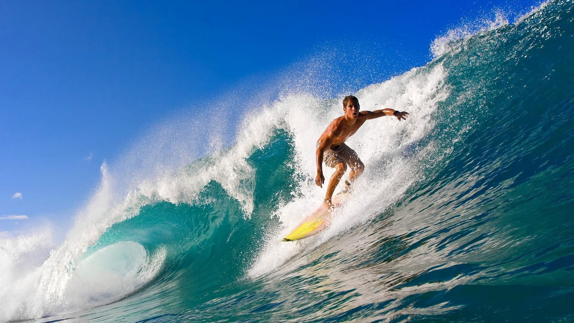 俱乐部强化“青少年+产业链+科技创新”，推动行业绿色可持续发展新动能